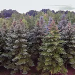 7 Bedroom Lovely In Дом отдыха *