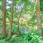 Дом отдыха 7 Bedroom Lovely In