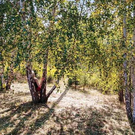 Дом отдыха 7 Bedroom Lovely In