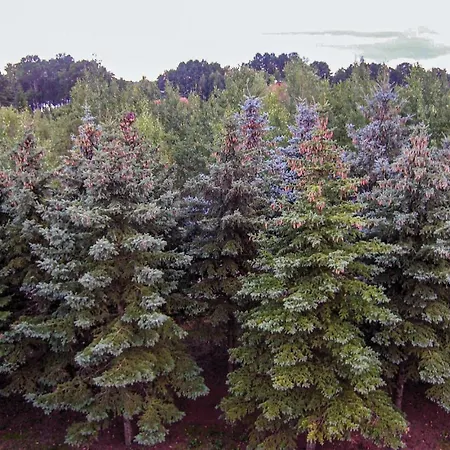 7 Bedroom Lovely In Ferienhaus *